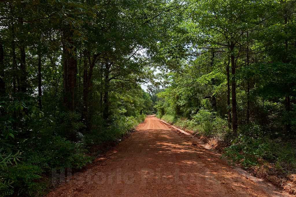 Vintage Fine Art Photo Print - Red Clay Road in Rural Monroe County Alabama - 12x8 Inch Wall Decor for Home, Office & Gifts