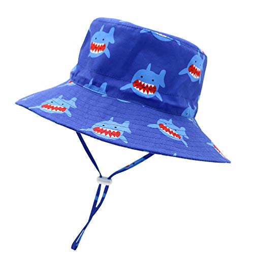Shark