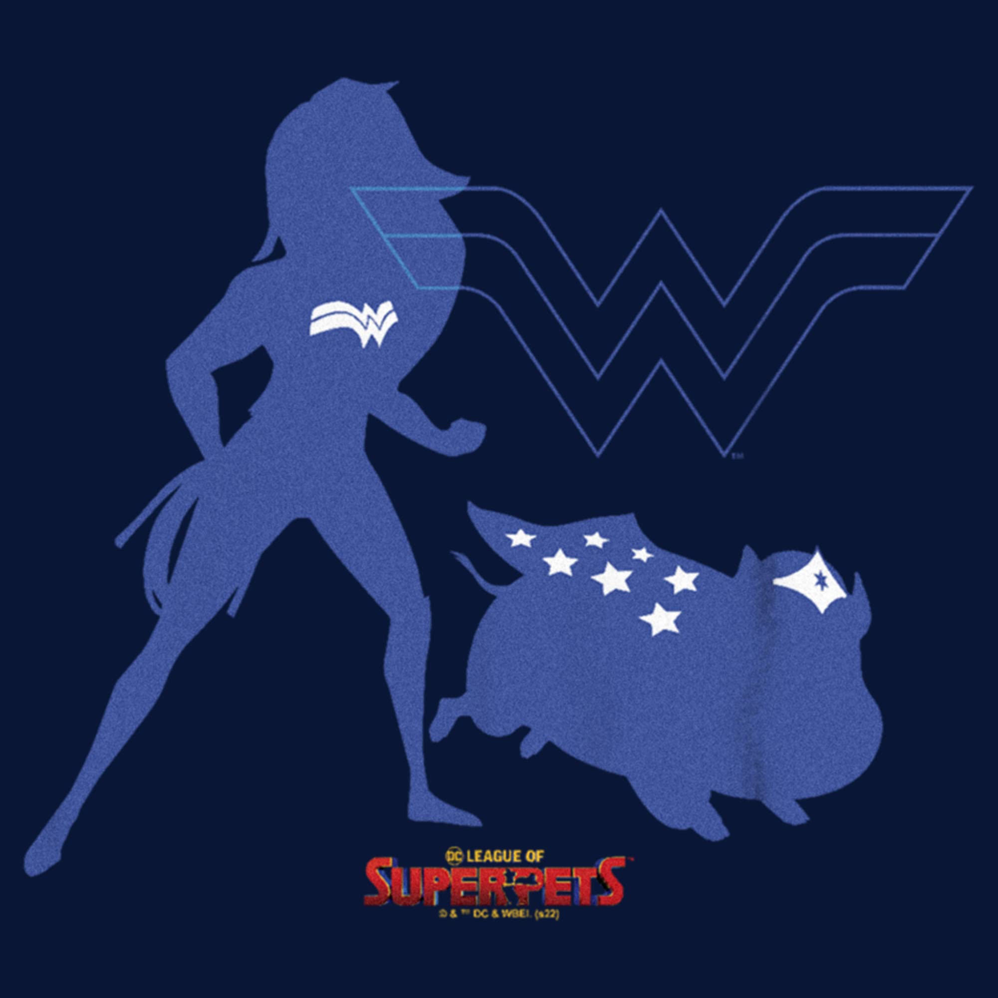 Boys DC Super-Pets Wonder Woman T-Shirt for Kids Play & Cosplay
