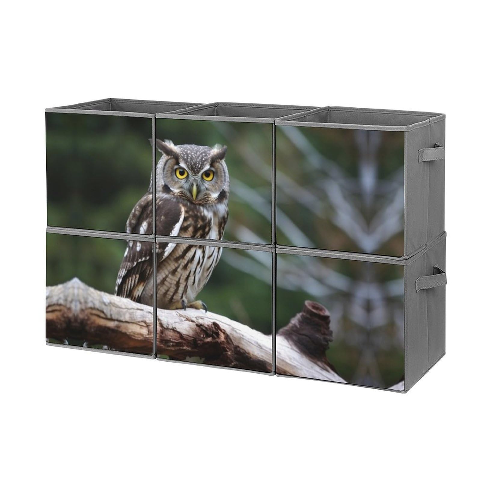 Wild Owl Birds Storage Bins 6-Piece Set - Collapsible Fabric Storage Baskets with Handles for Home Organization, Large Closet Organizer & Clothing Storage Boxes | Perfect for Bedroom, Nursery, Laundry Room & Office