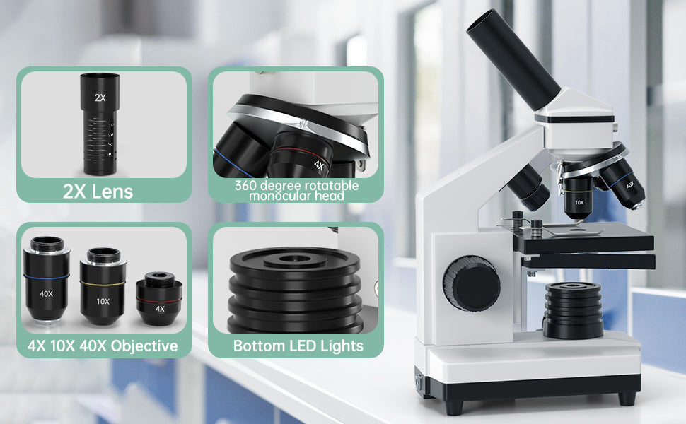 100X-2000X High Power Compound Microscope with Prepared Slides - Perfect for Kids, Students & School Science Labs | Ideal for Biology, Botany & Lab Experiments