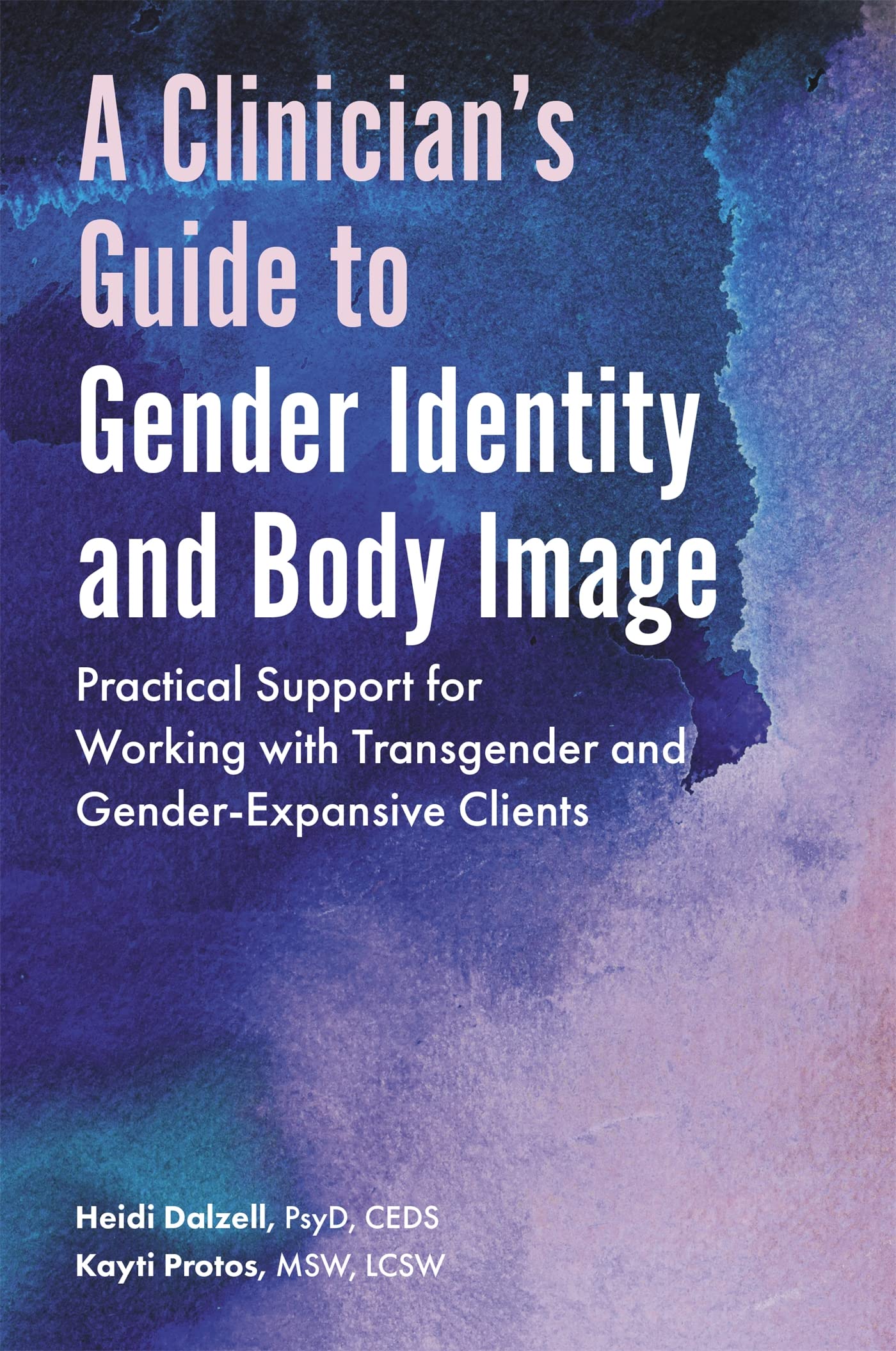 Clinician's Guide to Gender Identity & Body Image - Essential Resource for Therapists, Counselors & Mental Health Professionals