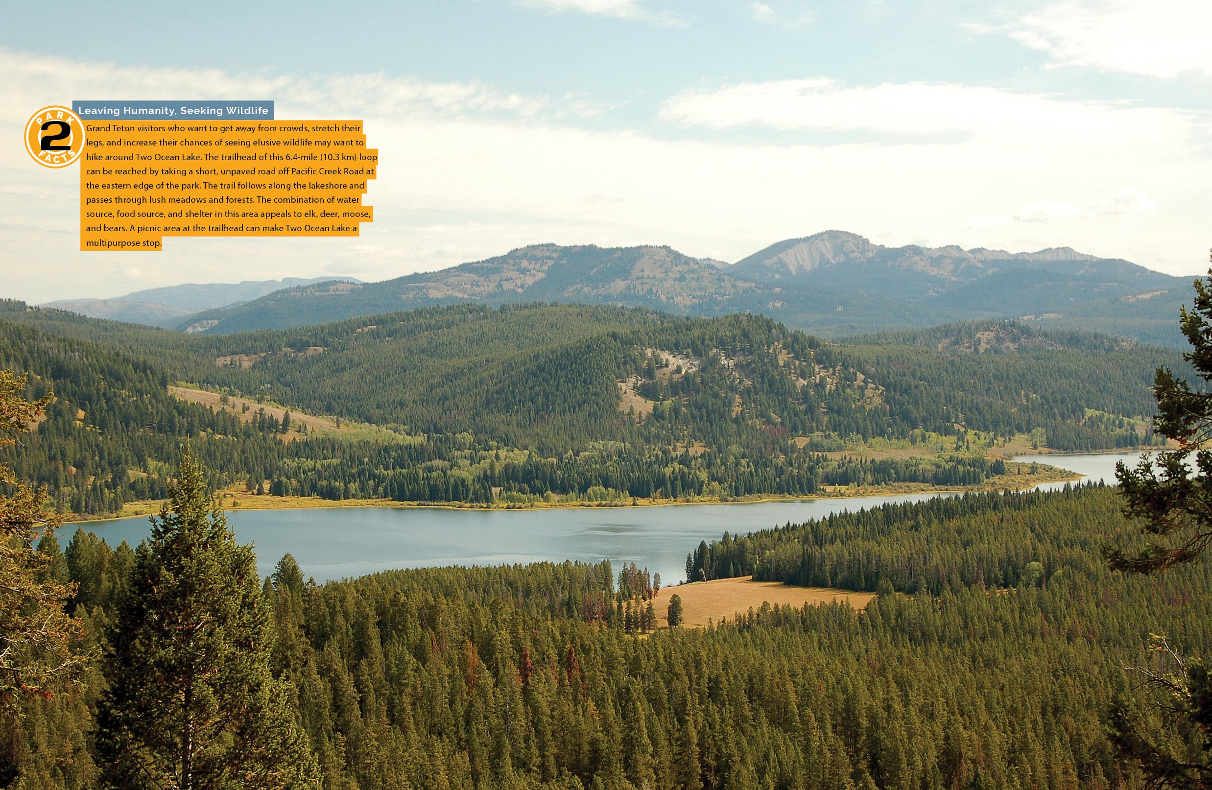 Explore Grand Teton National Park - Wyoming's Majestic Mountain Adventure | Hiking, Wildlife & Scenic Views
