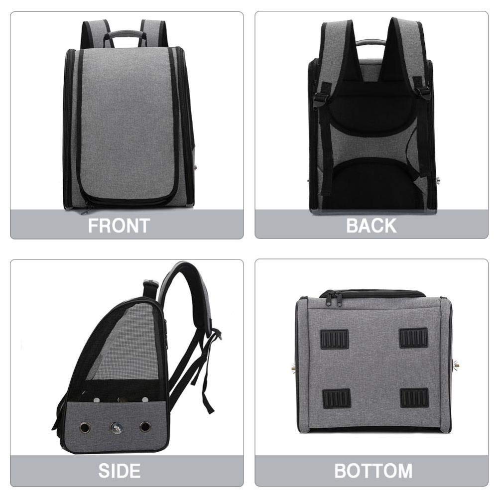 Portable Bird Carrier Backpack - Travel Cage with Perch for Small Birds, Parrots & Crested Birds (2-Pack, Black) - Perfect for Air Travel, Vet Visits & Outdoor Adventures