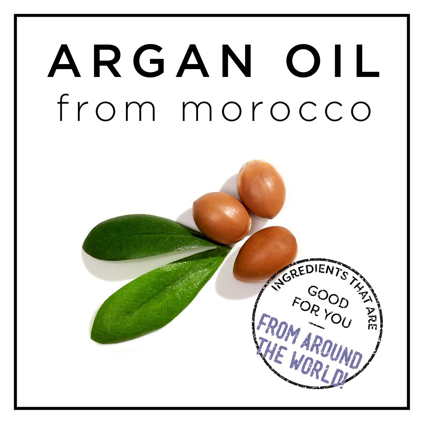 HASK Argan Oil From Morocco Repairing Deep Conditioner - 50 gm (Pack of 2) for Dry, Damaged Hair - Salon Quality Hair Treatment at Home