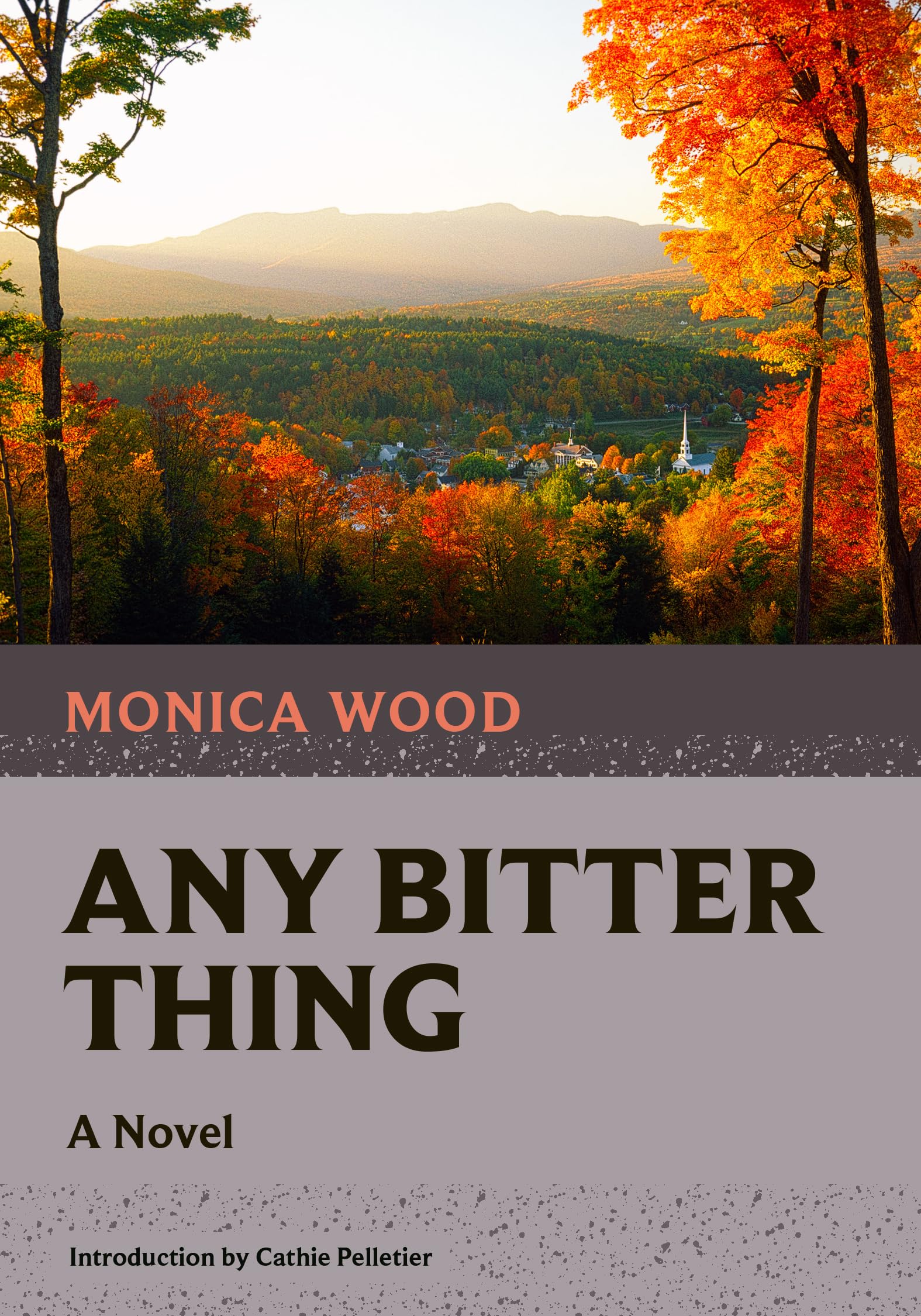 Any Bitter Thing (Nonpareil Books, 5) - Literary Fiction Novel for Book Clubs & Contemporary Readers - Perfect for Thought-Provoking Discussions & Personal Reflection