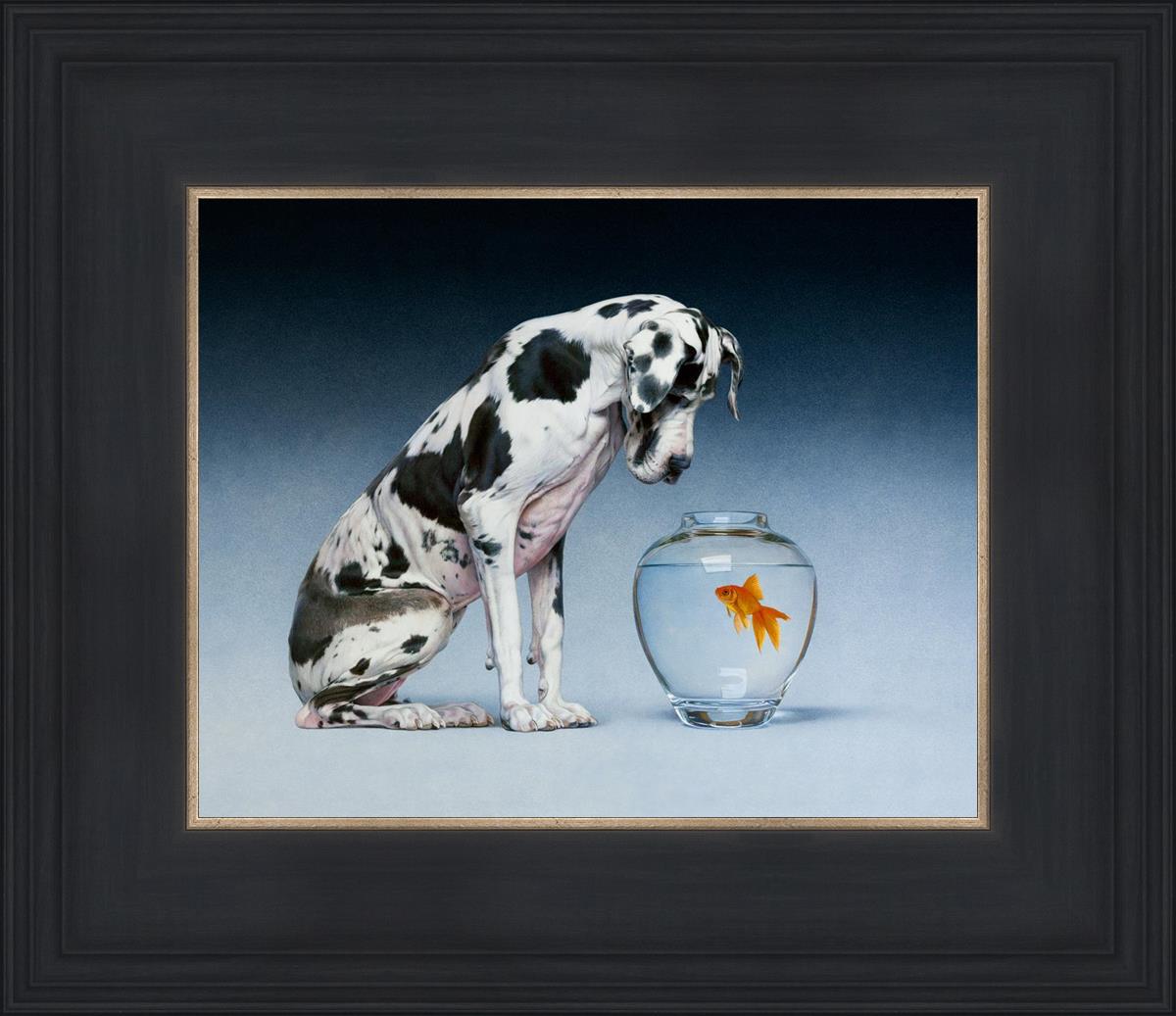 Dane And Fish By Chris Young - Premium Fishing Gear & Accessories for Outdoor Enthusiasts | Perfect for Freshwater & Saltwater Fishing Adventures