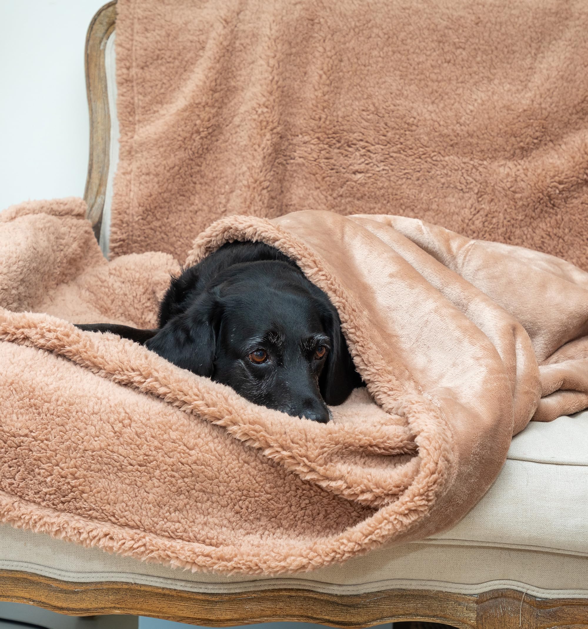 Waterproof Washable Dog Blanket for Large Dogs - 40x60 Inch Sherpa Pet Blanket for Beds, Couches, Sofas & Car Seats | Cozy Indoor & Outdoor Use for Pets