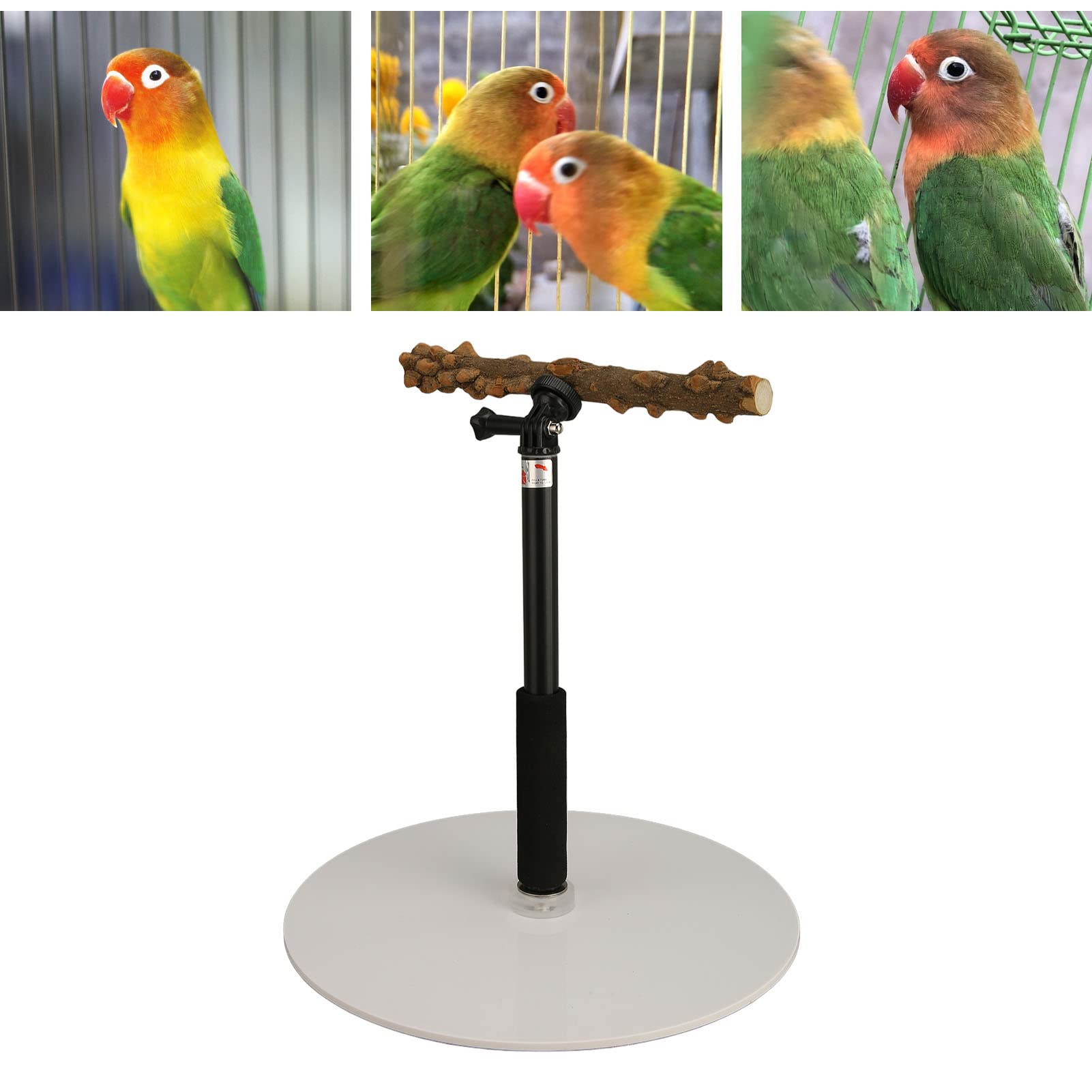 ASHATA Portable & Detachable Bird Play Stand - Indoor & Outdoor Perch for Parrots, Cockatiels & Small Birds - Perfect for Travel, Climbing & Playtime Activities