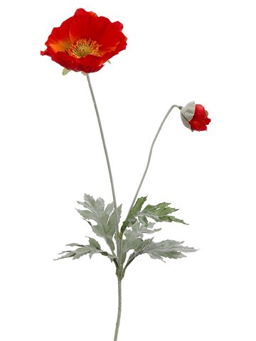 26