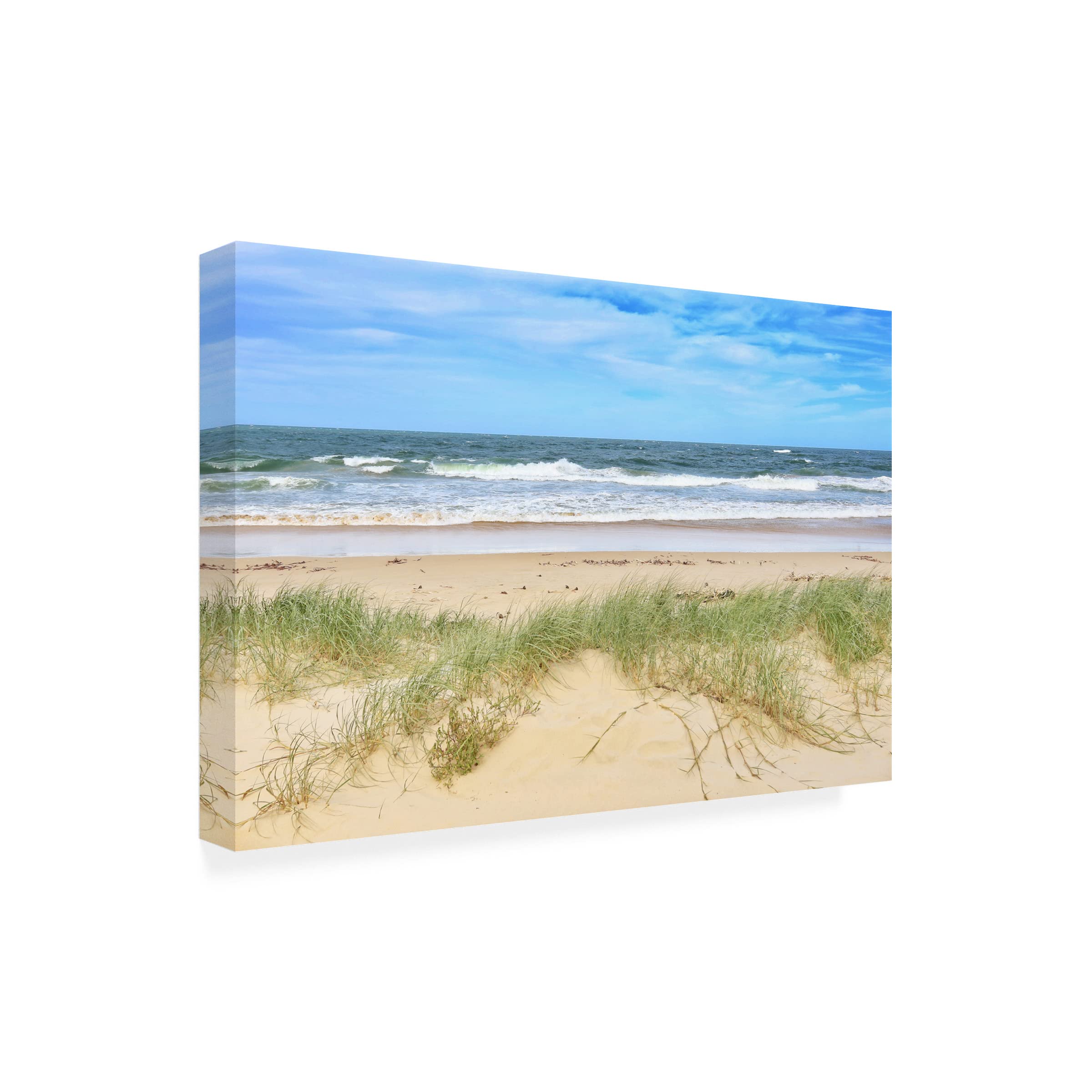 Trademark Fine Art 'Beachtime' Canvas Wall Art by Beata Czyzowska Young - Coastal Decor for Living Room, Bedroom & Beach House