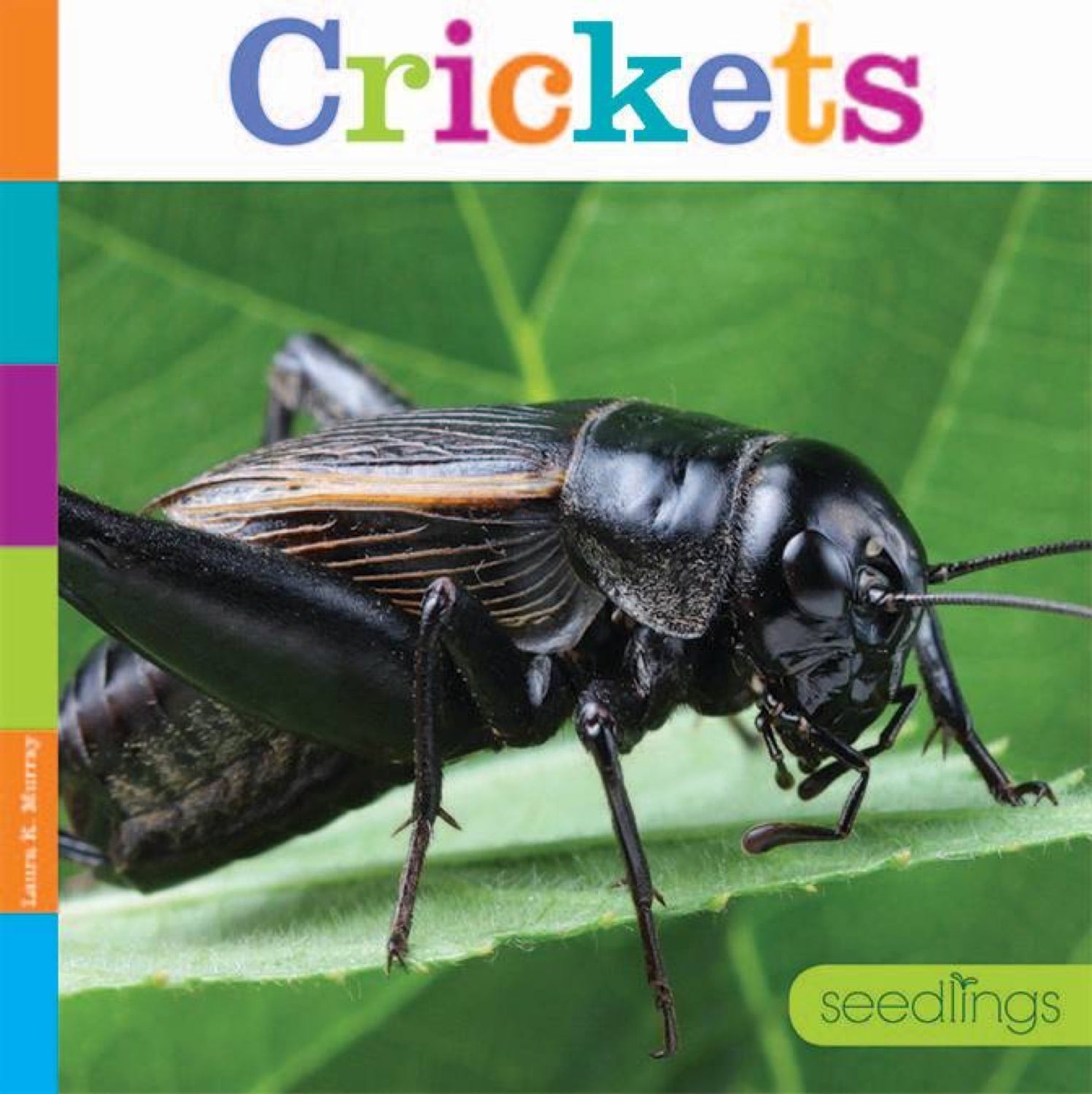 Live Crickets for Reptile Food - Bulk 978 1 60818 580 1 - Perfect for Feeding Lizards, Frogs, and Tarantulas