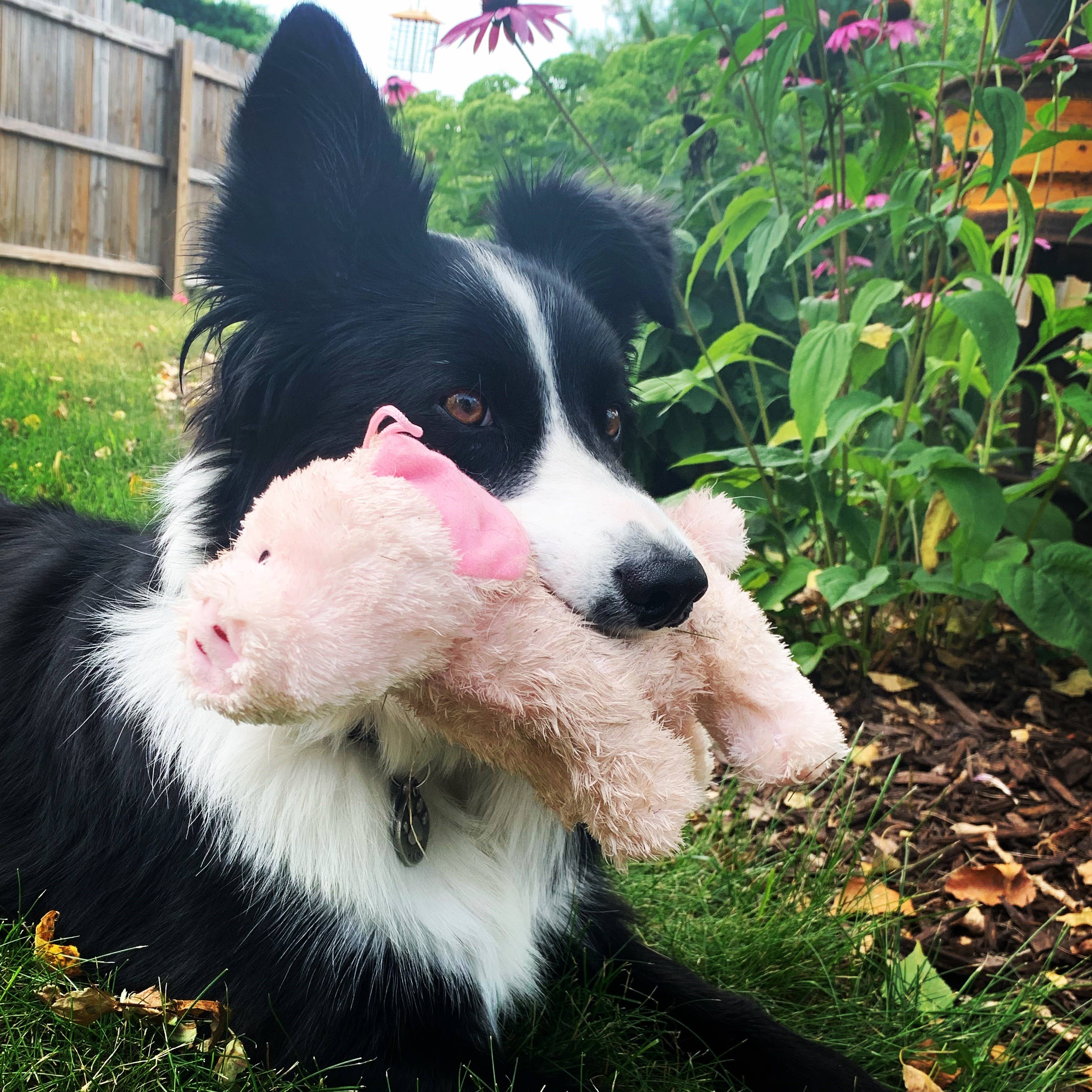 Barnyard Baller Pig - Funny Farm Animal Toy for Kids, Perfect for Playtime, Birthday Gifts & Farm-Themed Decor
