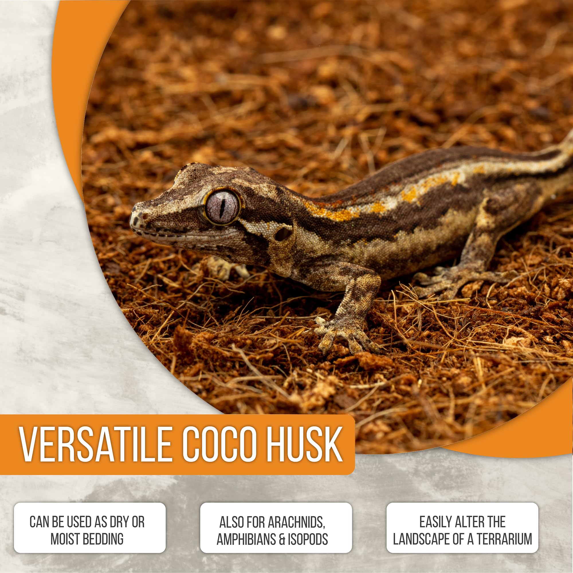Premium ReptiEarth Coconut Fiber Substrate - Organic Fluffy Small-Strand Reptile Bedding for Bioactive Terrariums, Ideal for Lizards, Frogs, Snakes & Tarantulas | Natural Moisture Retention & Odor Control | Perfect for Tropical Habitats & Breeding Enclosures (3-Pack Breeder Bundle)
