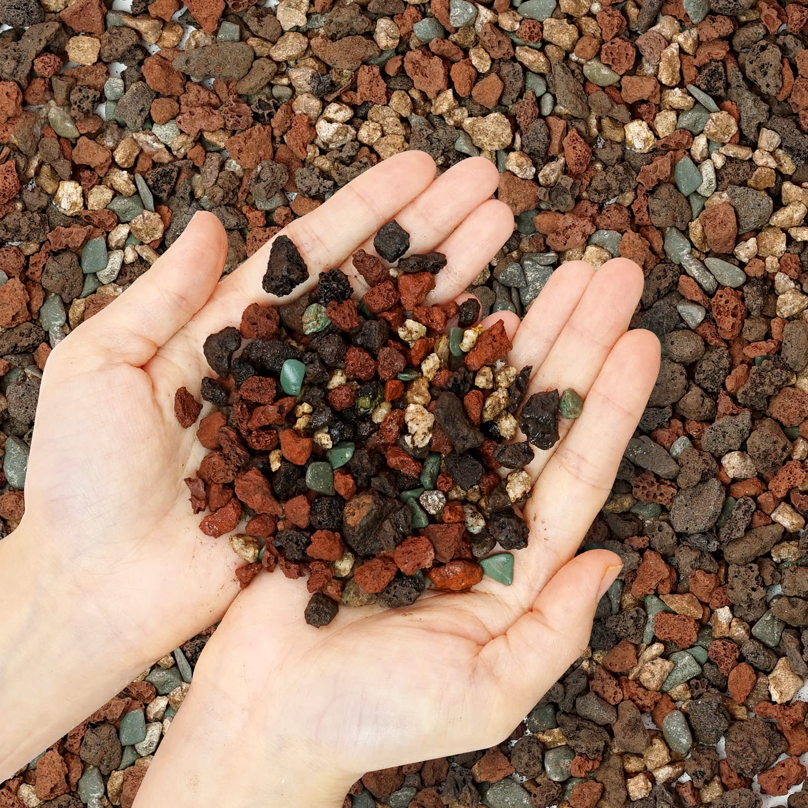 1.6LB Horticultural Lava Rock Pebbles for Plants - Pumice Soil Amendment for Succulents, Cactus, Bonsai | Decorative Landscaping Rocks, Terrarium & Fairy Garden Top Dressing, Vase Fillers - Perfect for Indoor/Outdoor Gardening & DIY Projects