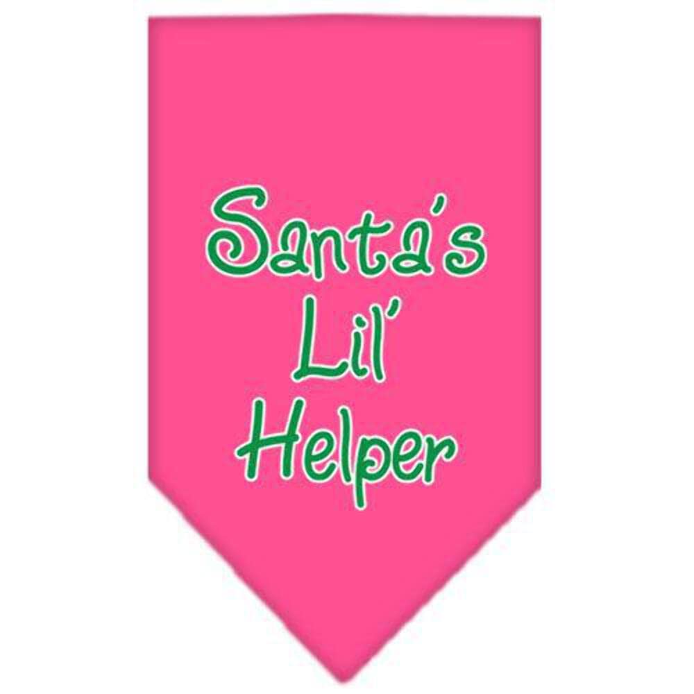 Santa's Little Helper