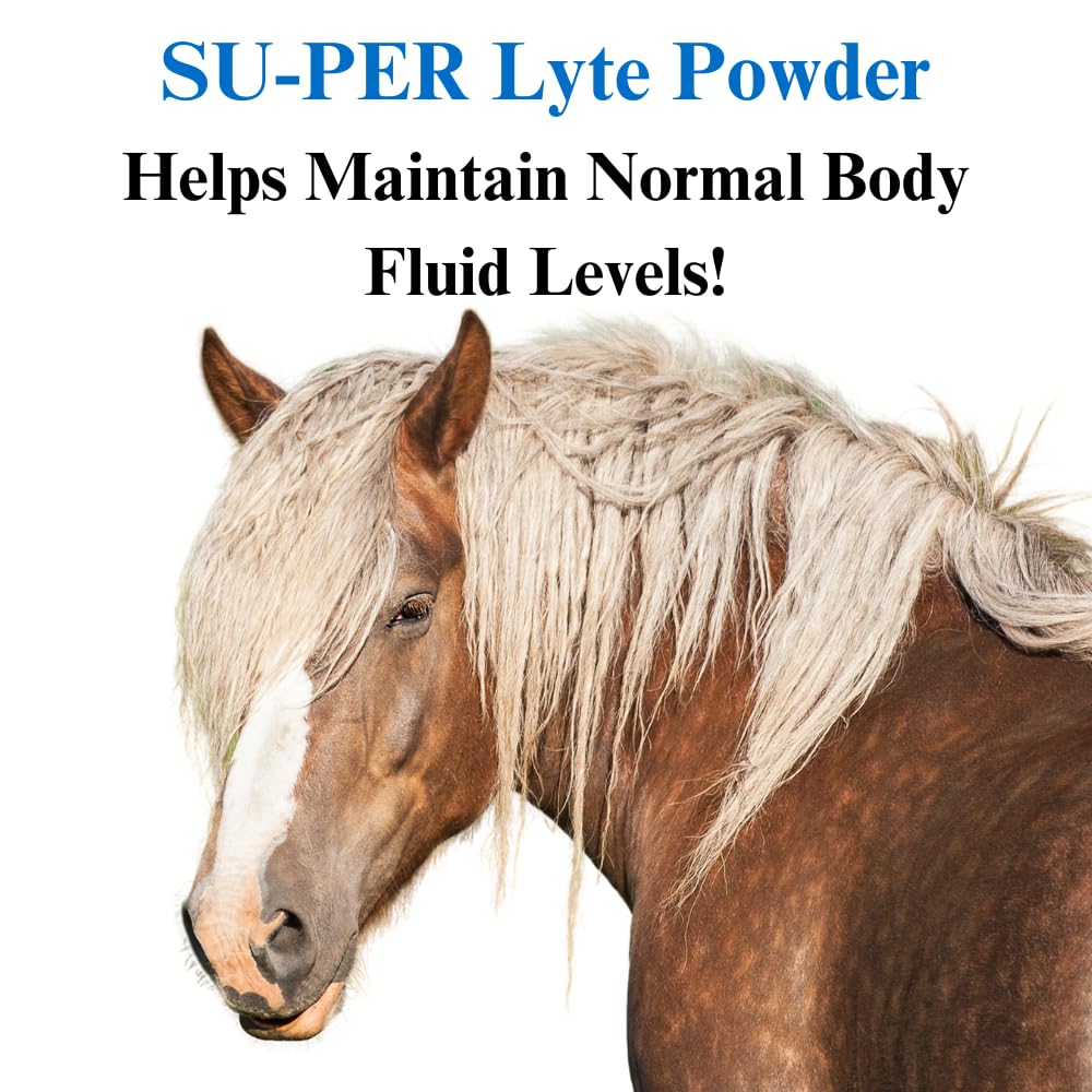 Lyte Horse Electrolyte Supplement for Performance Horses - 20lb (5 Month Supply) - Maintains Normal Body Fluid Levels & Replenishes Minerals - Ideal for Training, Racing, and Hot Weather Recovery