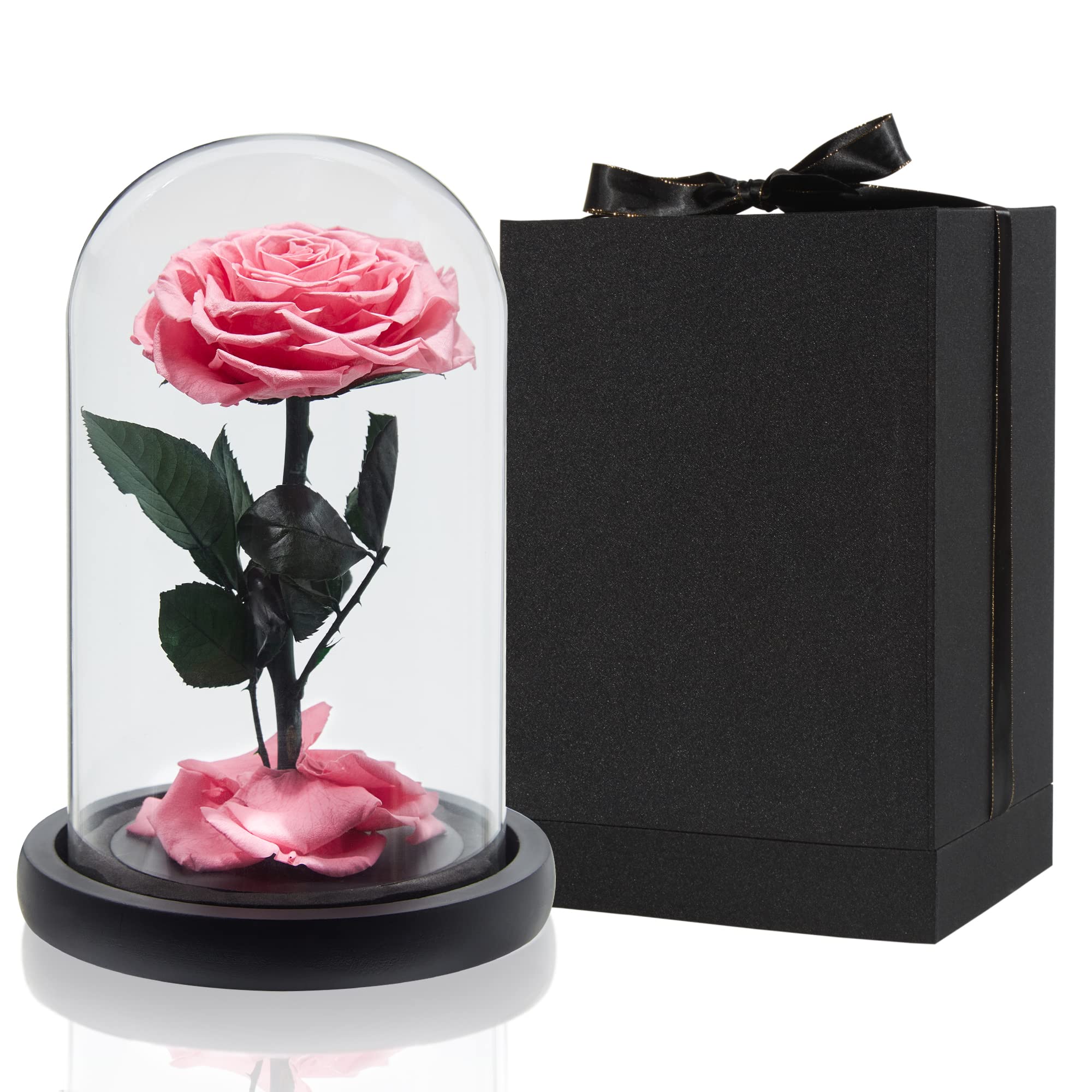 DuHouse Preserved Real Rose in Glass Dome - Eternal Enchanted Rose Gift Box for Valentine's Day, Mother's Day, Birthday, Anniversary (Pink) | Romantic Home Decor & Special Occasion Gift