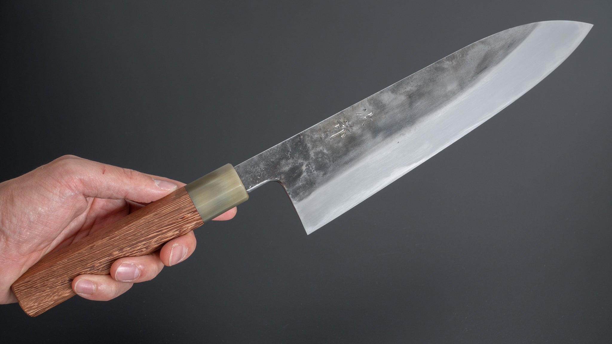 Premium Jiro Tsuchime Wa Gyuto 225mm Japanese Chef Knife with Taihei Tagayasan Handle - Perfect for Sushi, Meat Slicing & Professional Kitchen Use