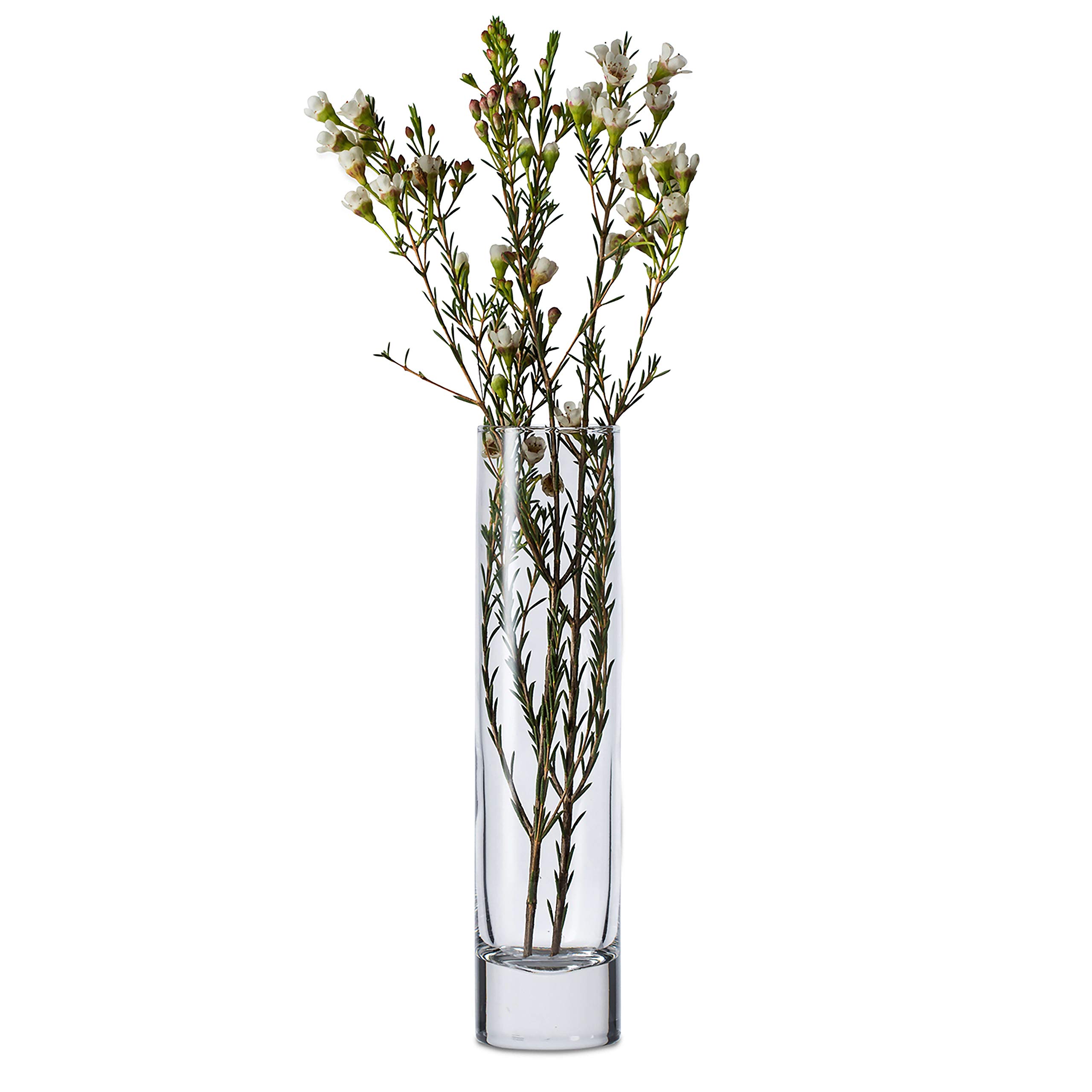 Libbey 7.5-Inch Cylinder Bud Vases Set of 12 - Elegant Glass Flower Vases for Wedding Centerpieces, Table Decorations & Home Floral Arrangements