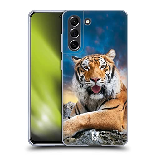 Tiger Sky Background