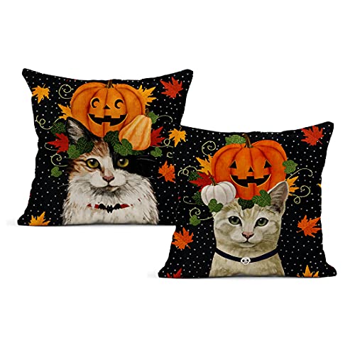 Halloween Cat