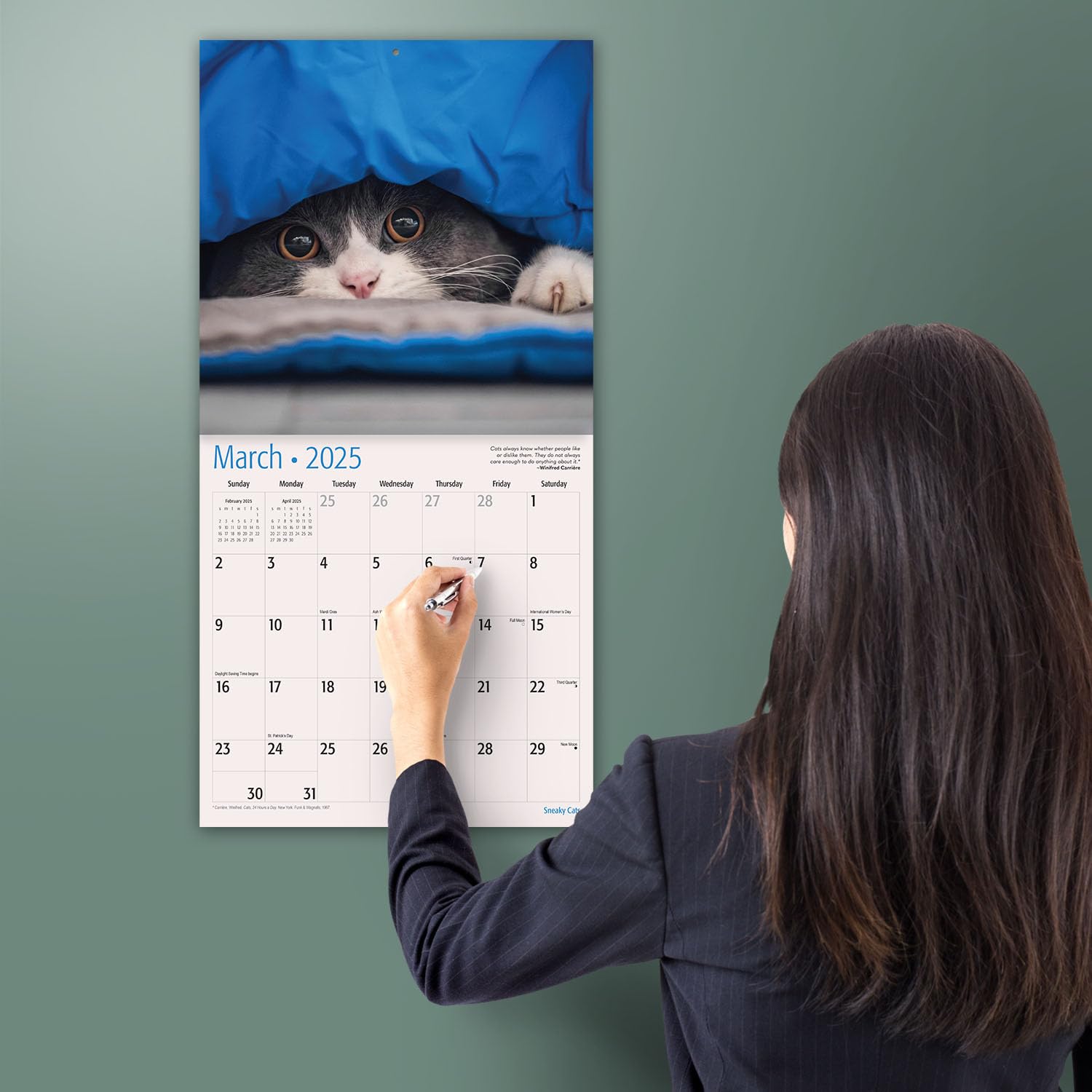 MICASA Sneaky Cats 2025 Wall Calendar - 12 Month Funny Cat Calendar (12