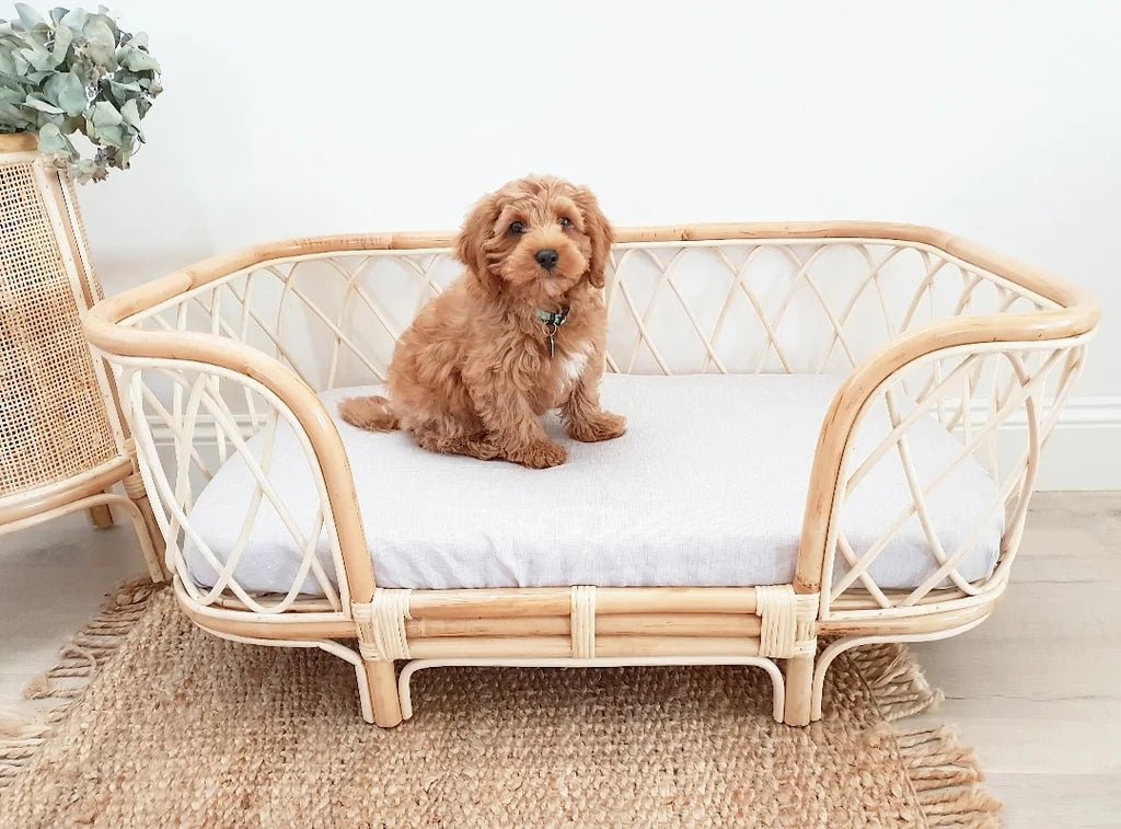 Bella Rattan Dog Bed - Washable Pet Bed for Small & Medium Dogs - Indoor & Outdoor Use - Perfect for Living Room, Patio, or Bedroom