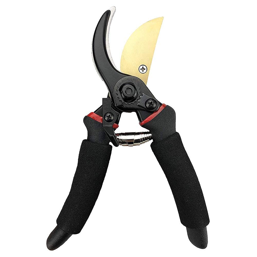 Professional Gardening Scissors & Pruning Shears with Safety Lock - Sharp Stainless Steel Blades for Tree Trimming, Plant Pruning & Landscaping - Ergonomic Non-Slip Handle for Comfortable Use (Ideal for Gardeners, Florists & DIY Enthusiasts)