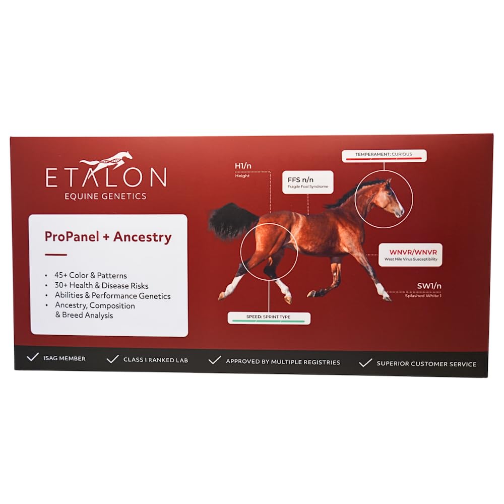 Etalon Equine DNA Test Kit - 70+ Genetic Traits Analysis for Horses | Coat Color, Disease Screening & Ancestry Testing | Perfect for Breeders, Veterinarians & Horse Owners