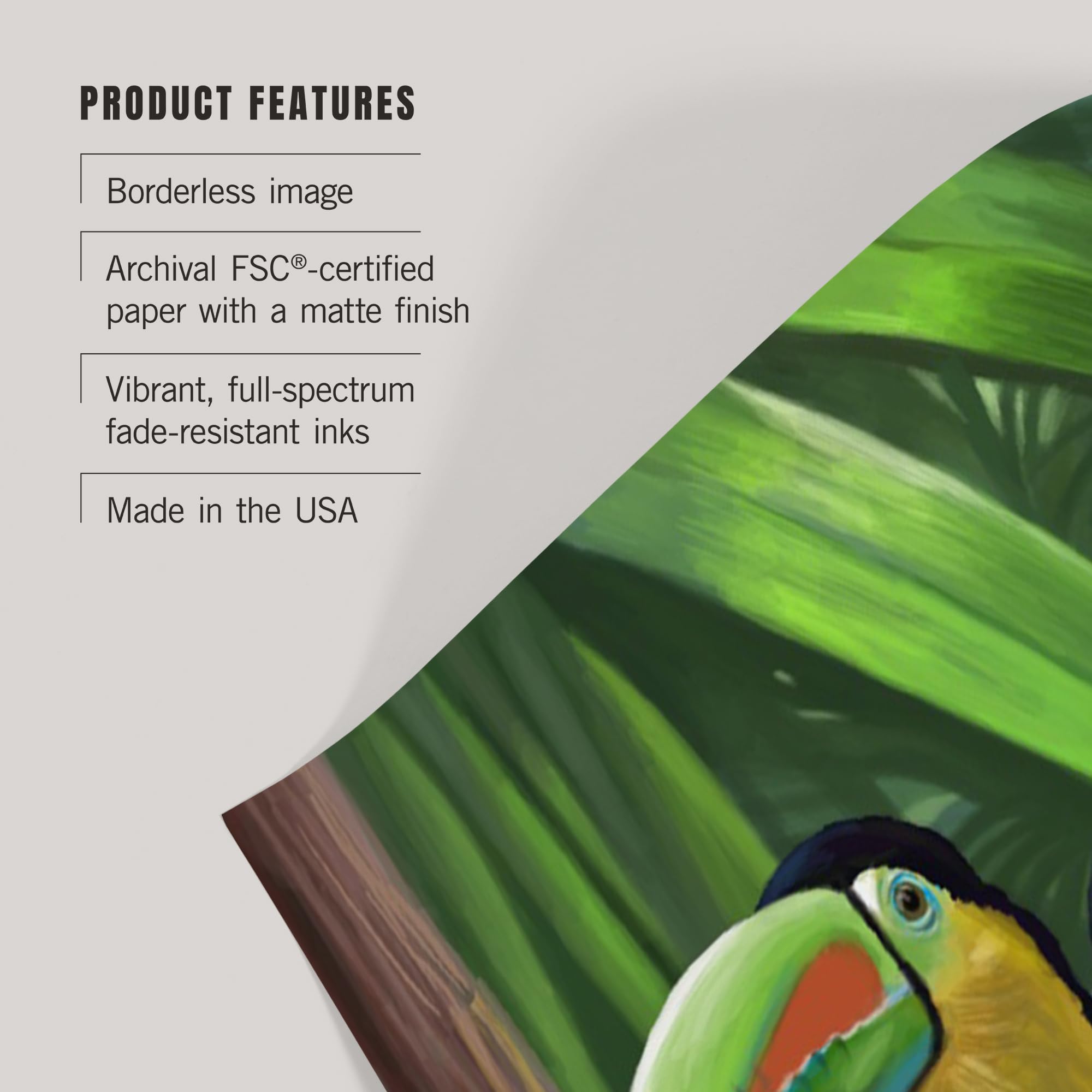 Lantern Press 16x24 Inch Giclee Print - Vibrant Toucan Bird Wall Art for Home & Office Decor | Perfect for Living Room, Bedroom or Tropical Themed Spaces