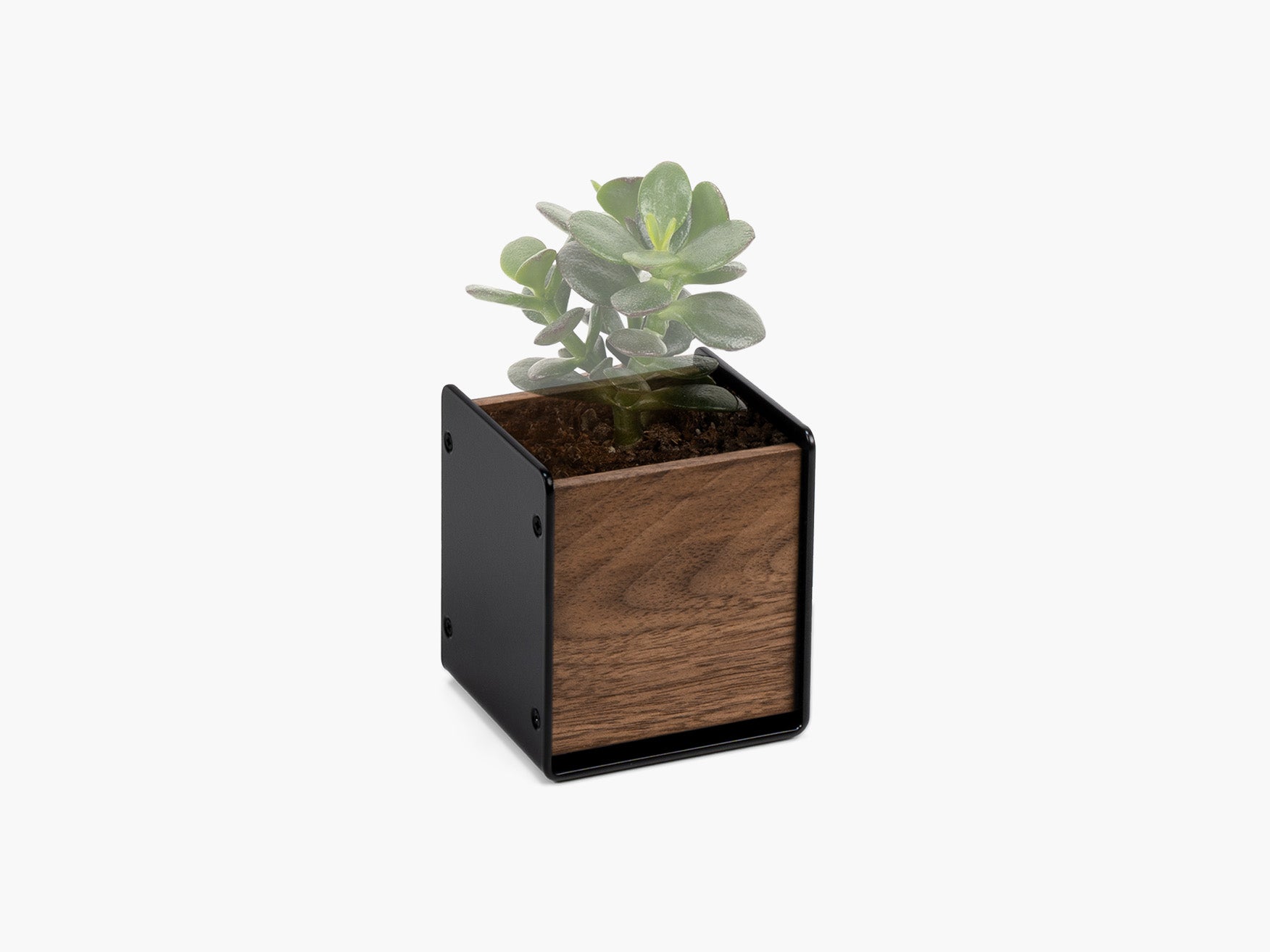 Modern Decorative Planters for Indoor & Outdoor Use - Stylish Flower Pots for Home, Garden, Office Decor - Perfect for Succulents, Herbs & Houseplants