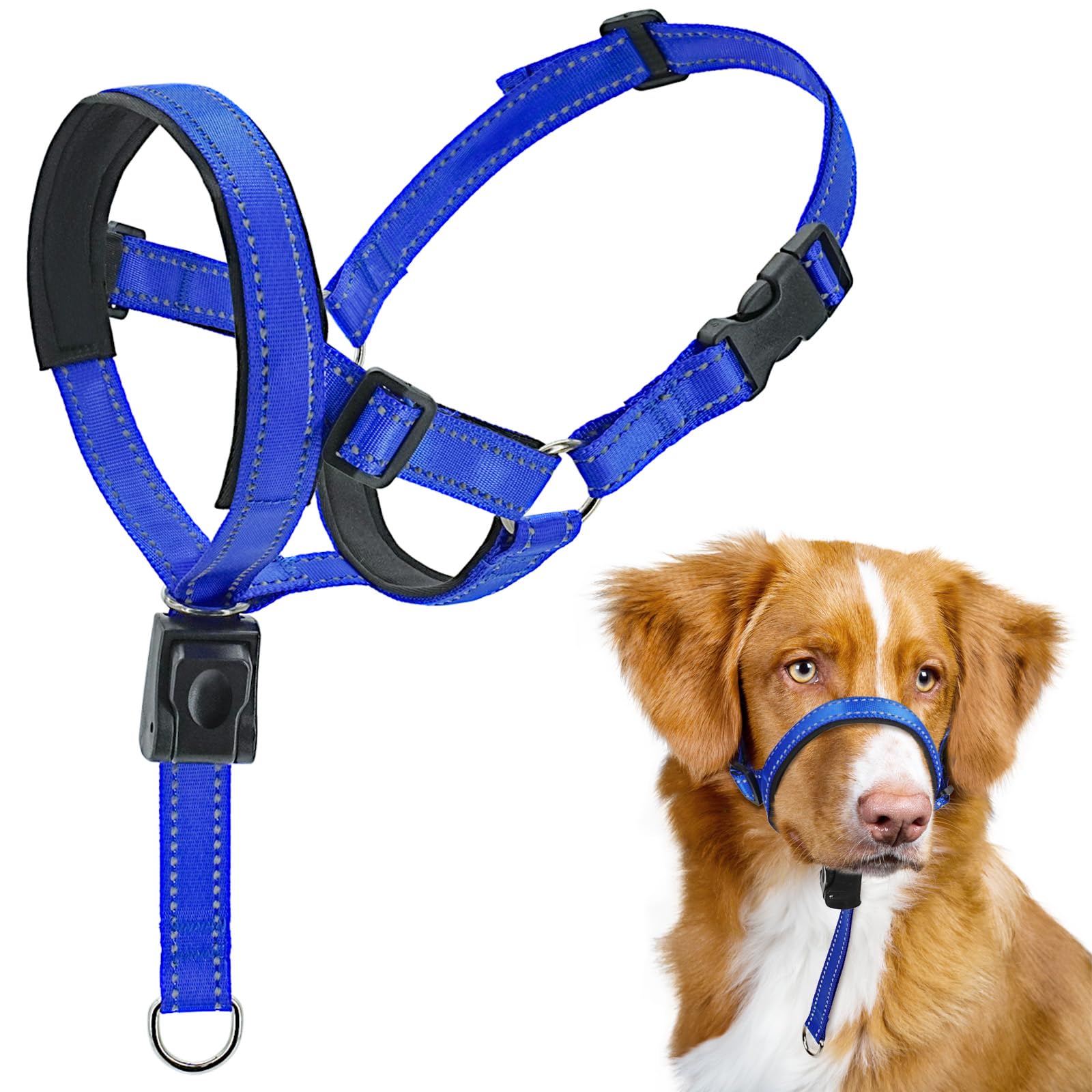 No Pull Gentle Leader Soft Padded Dog Head Halter Collar - Adjustable Training Leash for Small, Medium & Large Dogs - Reflective & Comfortable for Better Control - Perfect for Walking, Training & Outdoor Adventures (Blue, Size 4)