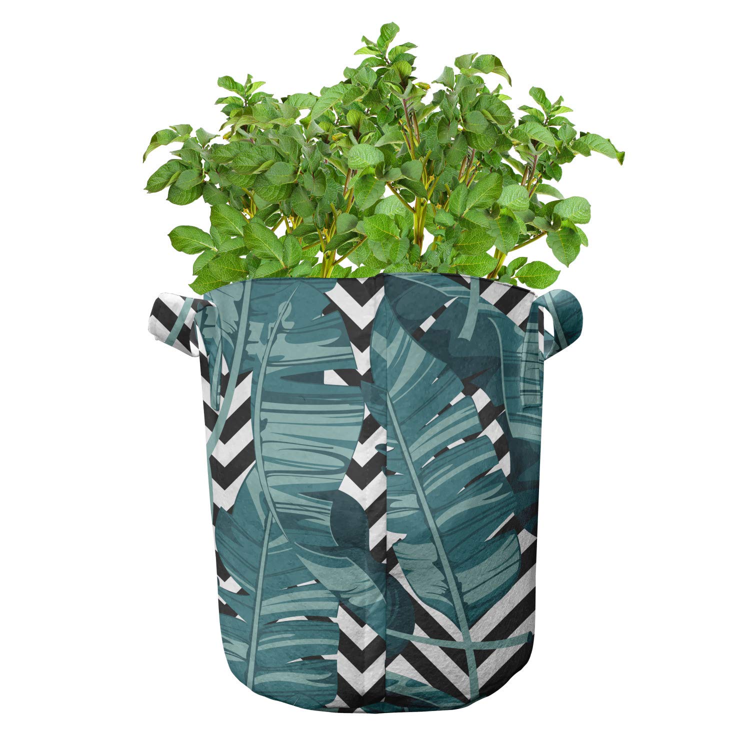 Ambesonne 5-Pack Heavy Duty Fabric Grow Bags with Handles - Tropical Rainforest Foliage Striped Design in Teal Grey - Perfect for Indoor/Outdoor Plants, Vegetables, and Herbs Gardening