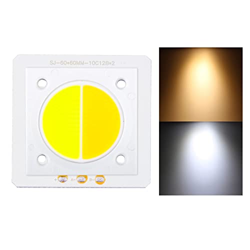 Cob 100w (Warm+cold) White