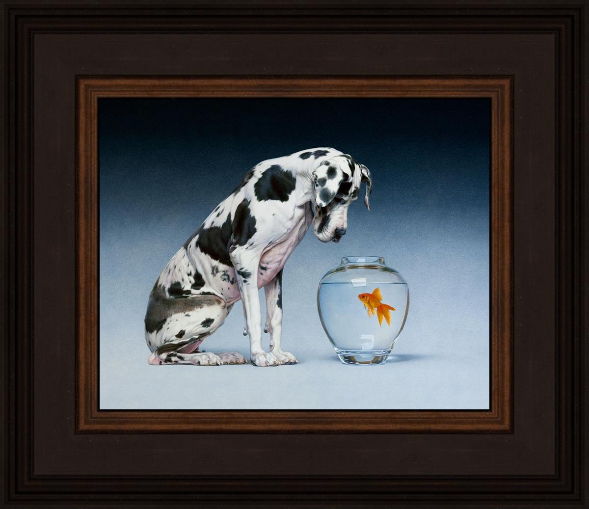 Dane And Fish By Chris Young - Premium Fishing Gear & Accessories for Outdoor Enthusiasts | Perfect for Freshwater & Saltwater Fishing Adventures