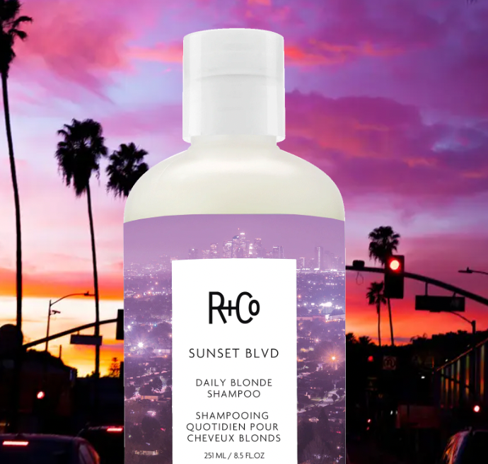 R+Co Sunset BLVD Daily Blonde Shampoo for Color-Treated Hair – Brightening & Toning Purple Shampoo for Blonde Hair – Perfect for Daily Use at Home or Salon
