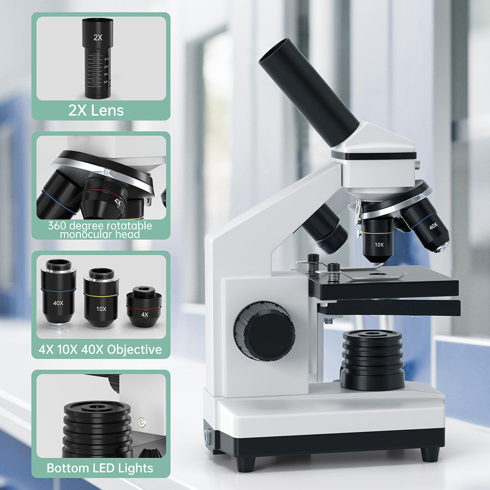 100X-2000X High Power Compound Microscope with Prepared Slides - Perfect for Kids, Students & School Science Labs | Ideal for Biology, Botany & Lab Experiments