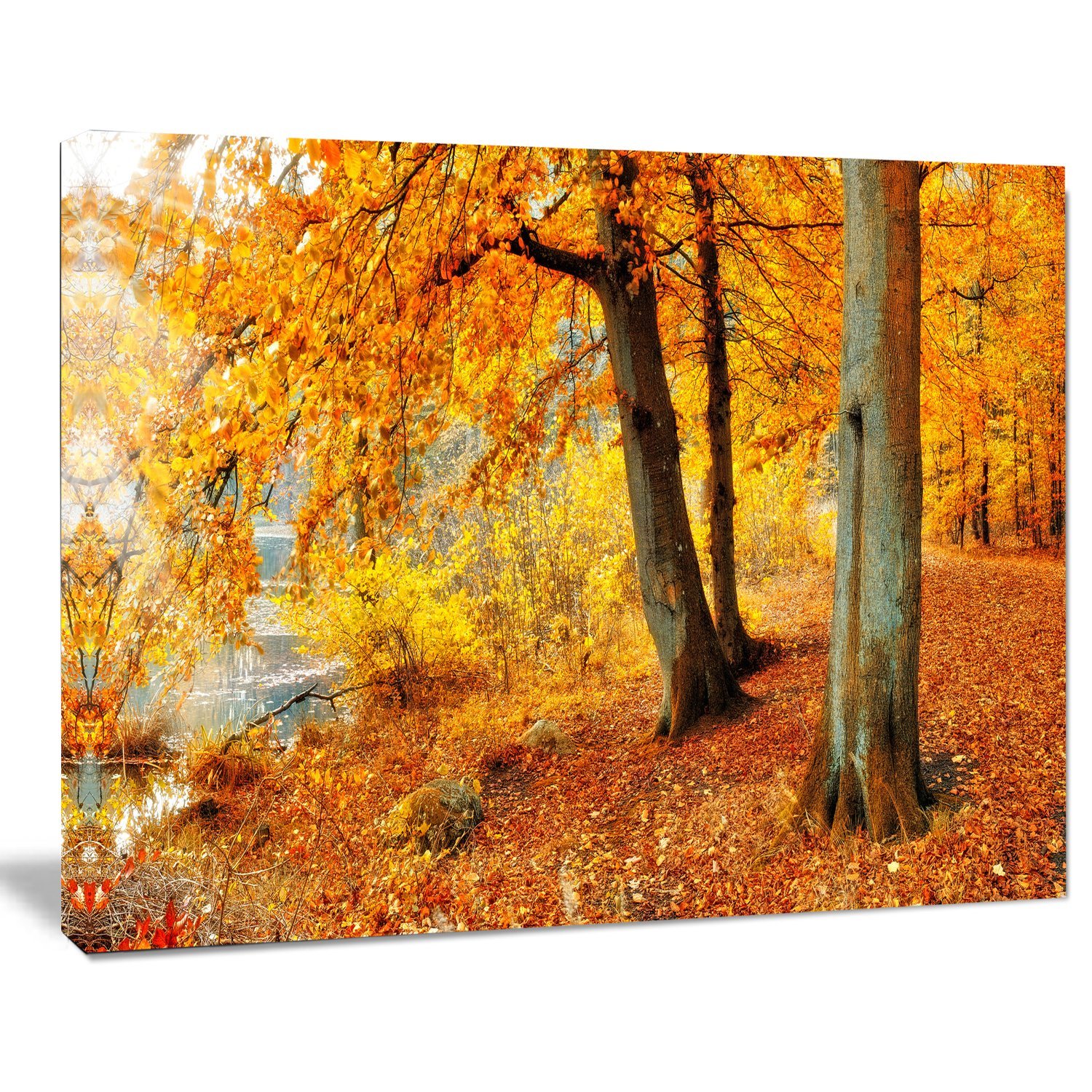 Autumn Forest Landscape Photography Canvas Print - Yellow Fall Foliage Wall Art for Living Room, Bedroom & Office Decor