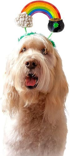 Pot of Gold Dog Headband - St. Patrick's Day Pet Accessory for Dogs, Fun Costume for Parties & Photos - Perfect for Festive Celebrations & Instagram Pics