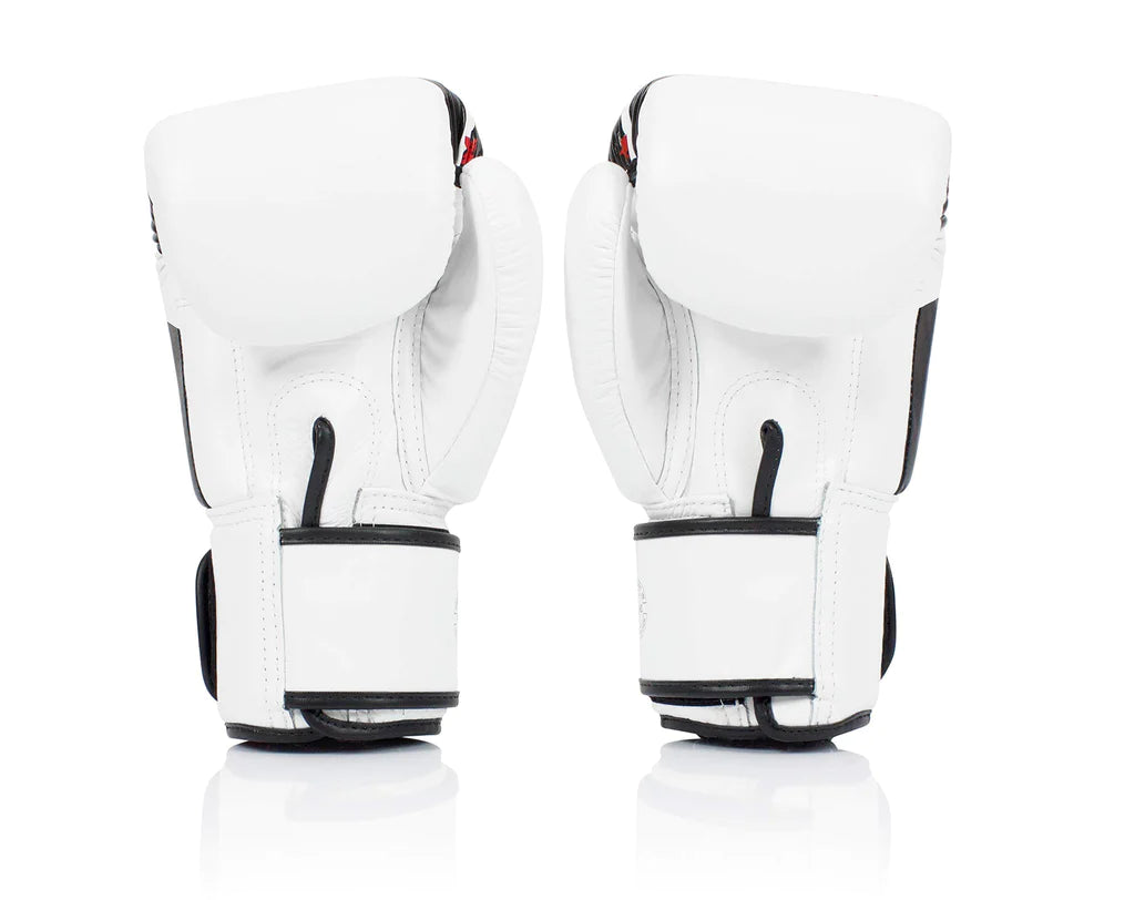 Fairtex BGV1 Muay Thai Boxing Gloves - Premium Training Gloves for Kickboxing, MMA, and Martial Arts - Perfect for Sparring, Bag Work, and Fitness Training