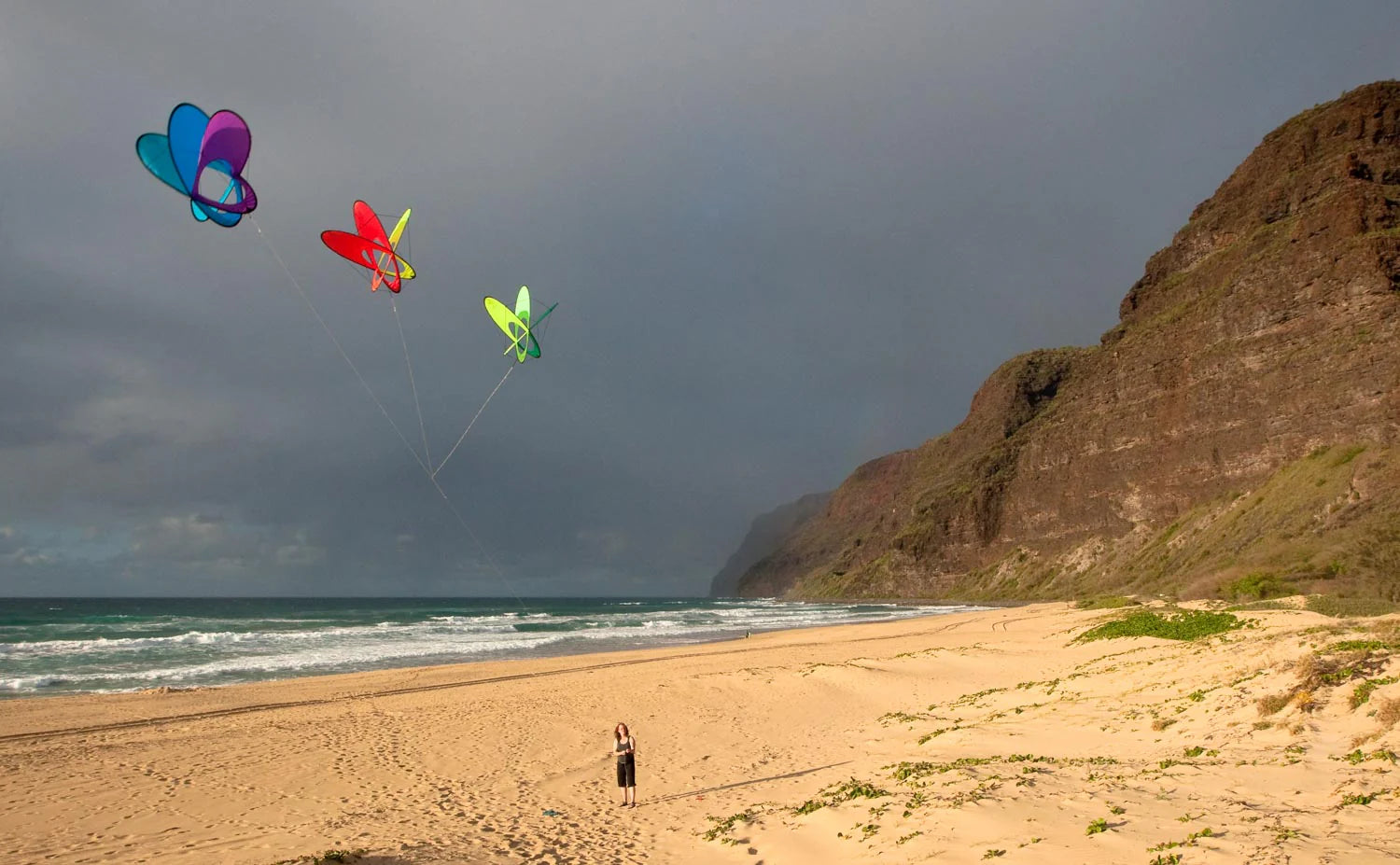 Prism EO Atom Box Kite - Premium Dual-Line Stunt Kite for Adults & Kids - Outdoor Sport & Beach Flying Fun - Perfect for Parks, Beach Days & Family Activities