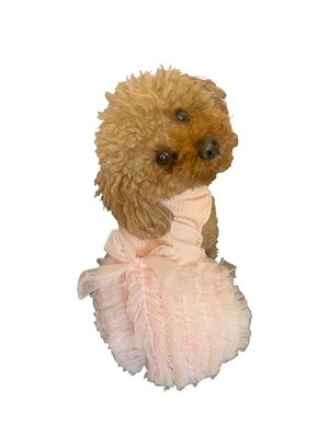 Pink Birthday Buttercream Tutu Dress for Girls - Perfect for Birthday Parties, Photo Shoots & Special Occasions