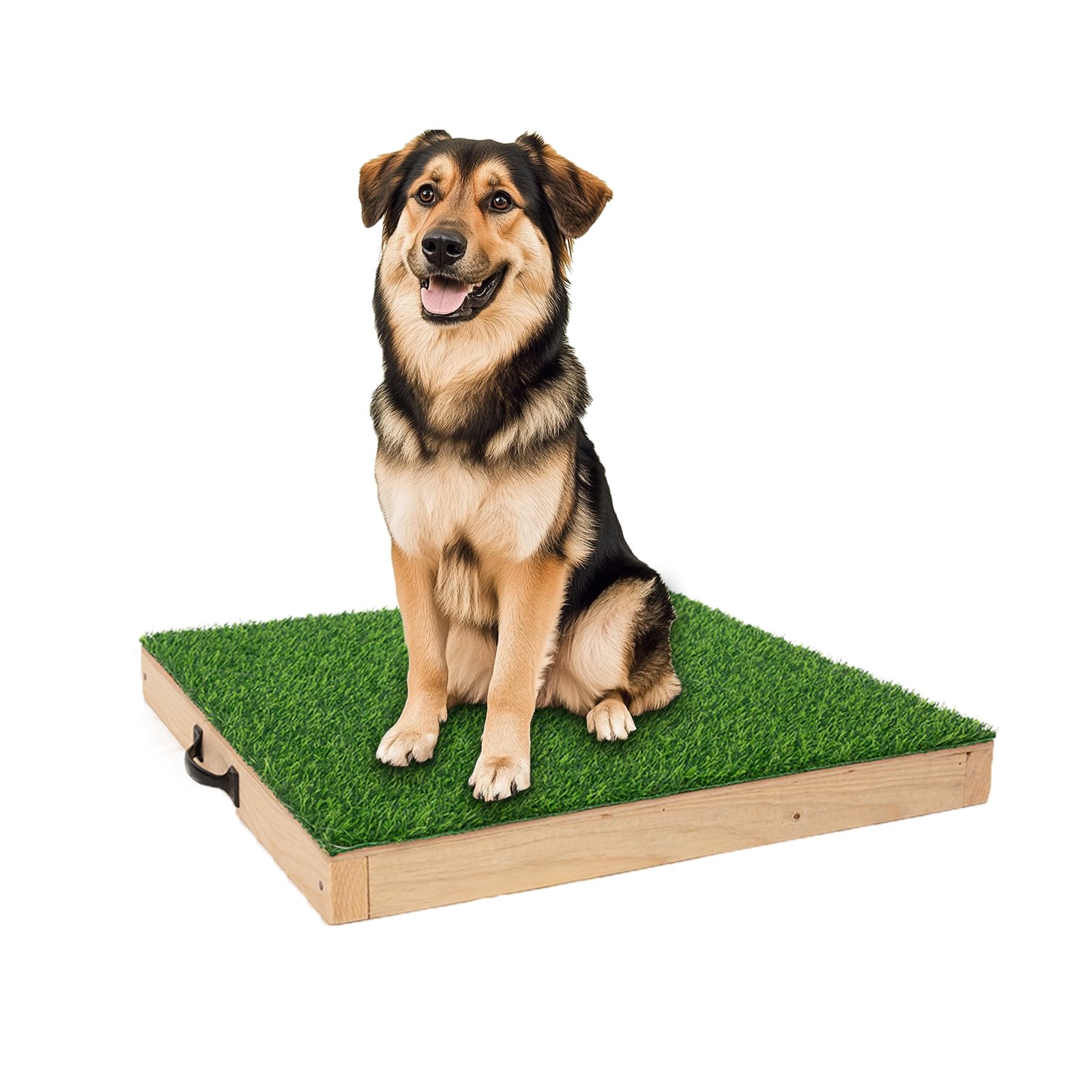**Durable Dog Training Platform for Large Dogs - Portable Agility Equipment, Hunting & Obedience Training Place Board - Indoor & Outdoor Use for Home, Yard, or Field**