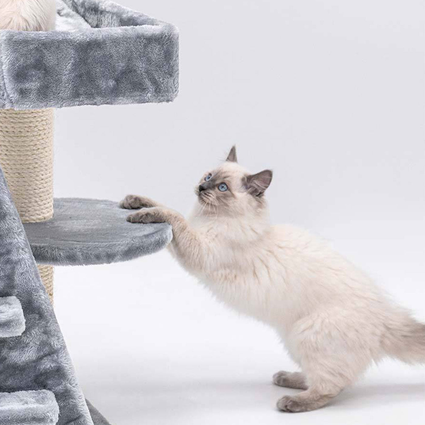 Little Rebels Tucson 61cm Cat Tree - Premium Scratching Post with Perch & Condo for Indoor Cats - Perfect for Play, Rest & Climbing in Small Spaces