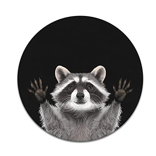 Raccoon Hands Out