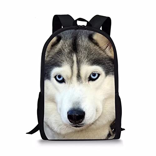 Animal Wolf-1pcs