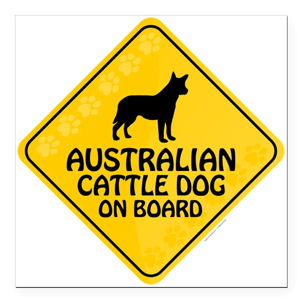 Cattle Dog On Board 3x3 Inch Square Car Magnet - Strong Magnetic Bumper Sticker for Vehicles, Trucks & RVs - Perfect for Pet Lovers, Road Trips & Car Decor