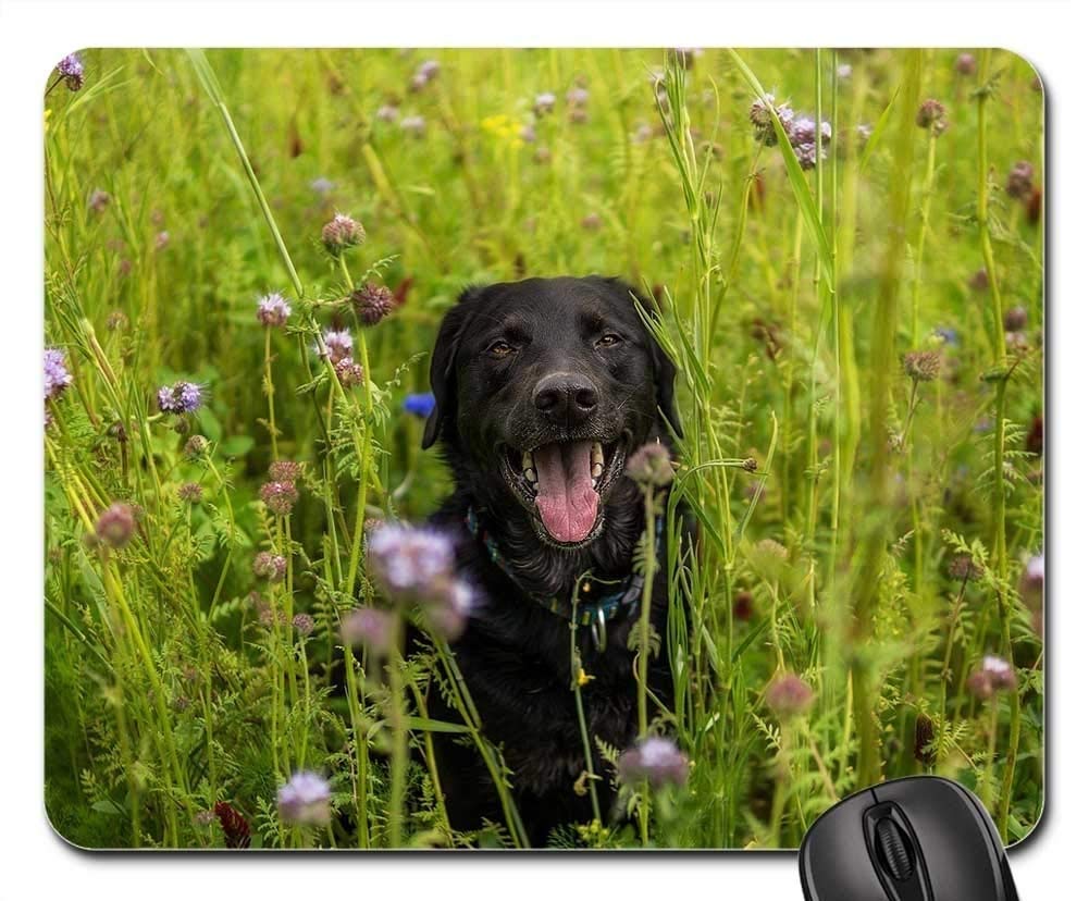 Premium Gaming Mouse Pad with Labrador Meadow Dog Design - Non-Slip Rubber Base, Smooth Surface for PC & Laptop - Perfect for Gaming, Office Work & Home Use
