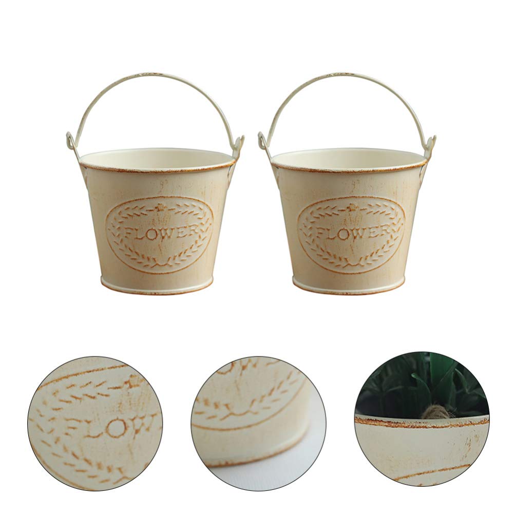 Hemoton 2-Pack Metal Hanging Planters for Indoor Plants - Iron Flower Pots with Hooks for Succulents, Herbs & Cacti | Perfect for Home, Garden, Balcony & Office Decor